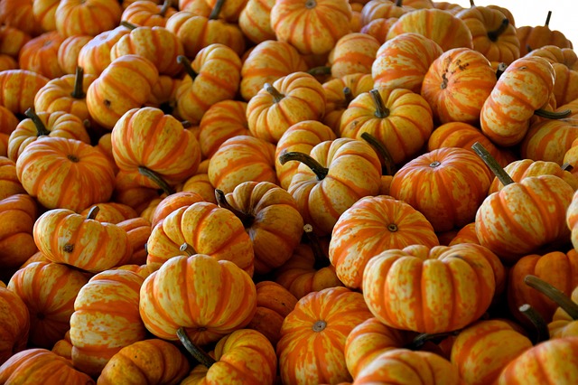 imagen de calabazas